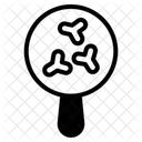 抗体 アイコン