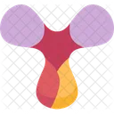 Antibody  Icon