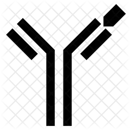 Anticuerpo  Icono