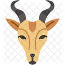 Antilope Mamifero Animal Icono