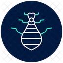 Antlion Insect Pitfall Icon