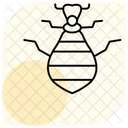 Antlion  Icon