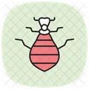 Antlion Insect Pitfall Icon