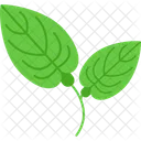 Anturio  Icono
