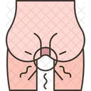 Anus Pain Hemorrhoids Icon