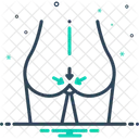 Anus Rectum Skin Cellulite Icon