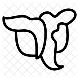 Anwendung  Symbol