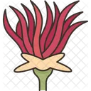 Apache Plume Flower Icon