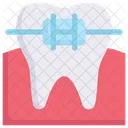 Cuidado Dental Dentista Diente Icon