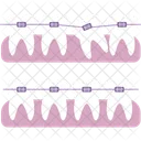 Dentista Ilustracao Odontologia Ícone