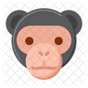 Ape Gorilla Hominoidea Icon