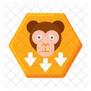 Ape In  Icon