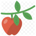 Apfel  Symbol