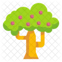 Apfelbaum Apfel Baum Icon