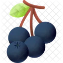 Apfelbeere  Symbol