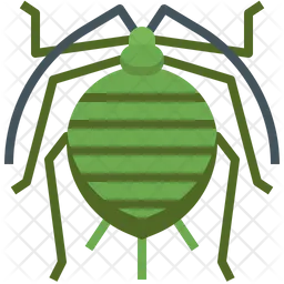 Aphid  Icon