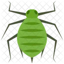 Aphid  Icon
