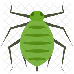 Aphid  Icon