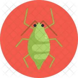 Aphid  Icon