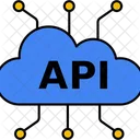 Asset Api Development Icon