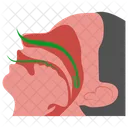 Apneia Do Sono Disturbio Do Sono Terapia Cpap Ícone