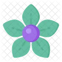 Apocynaceae Flower Icon