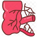 Appendix  Icon