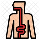 Appendix Intestine Colon Icon