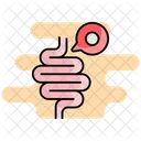 Appendix  Icon