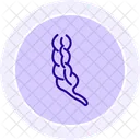 Appendix  Icon