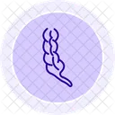 Appendix  Icon