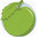 Apple Icon