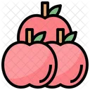 Apple Healthy Food Apples Icon