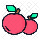 Apple Fruit Spring Icon