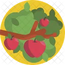 Nature Apple Fruit Tree Icon