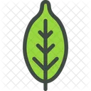 Apple Leaf Nature Icon