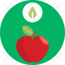Bio Food And Agriculture Apple Fruit Icon