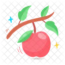 Apple Malus Fruit Icon