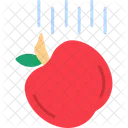 Apple Education Learning Icon