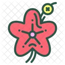 Apple Flower Floral Icon