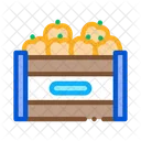 Fruit Box Container Icon