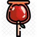 Apple Candy  Icon