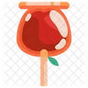 Apple Candy Toffee Apple Cadied Icon