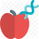 Apple Dna Icon