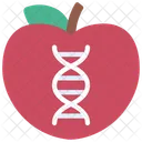 Apple Dna Food Engineering Food Icon
