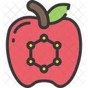 Apple Fruit Apple Fruit Icon