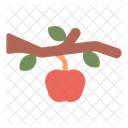 Apple Fruit On Tree  Icon