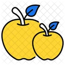 Apple  Icon