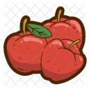 Apple  Icon