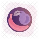 Apple  Icon